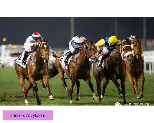 密集赛程令酋长草皮状况再堪忧